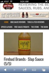 bbqsaucereview_pic_large